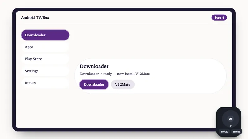 Illustration: Android TV/Box setup, step 4: Downloader is ready — now install V12Mate